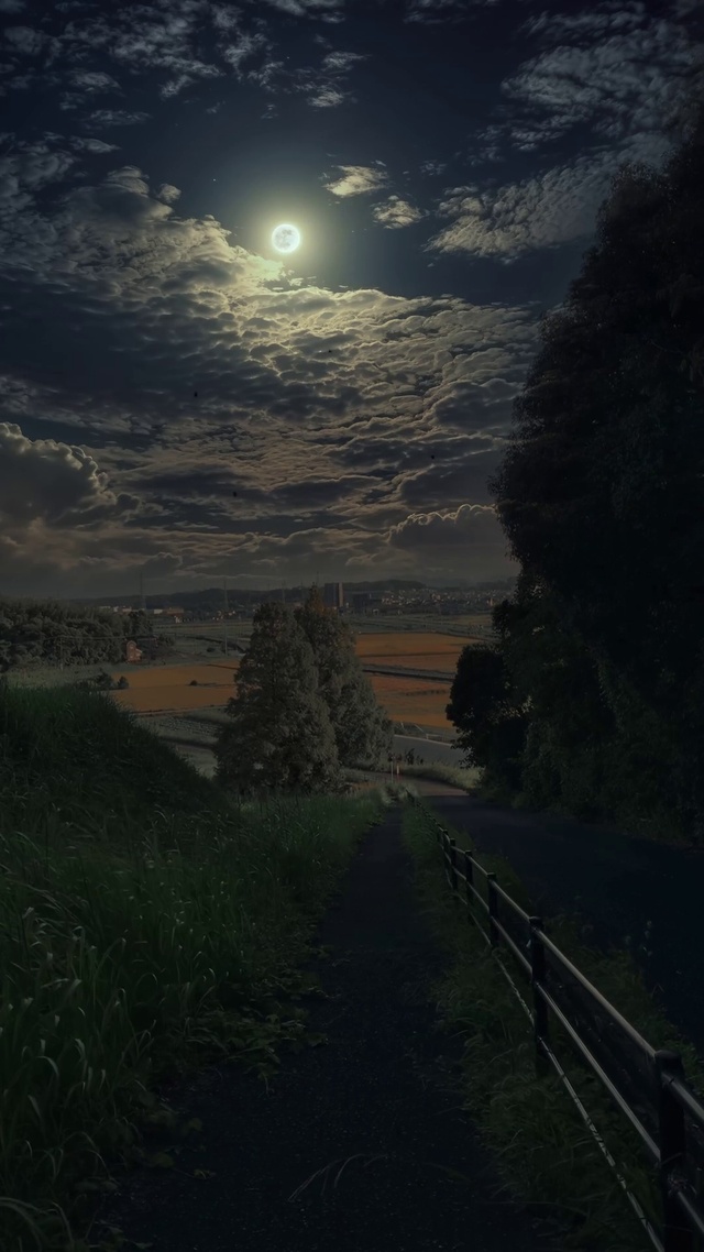 夜景小路