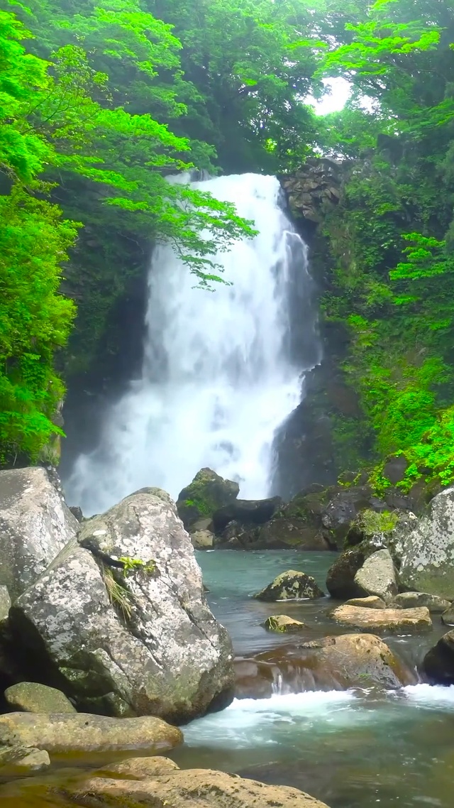 护眼绿林自然瀑布流水