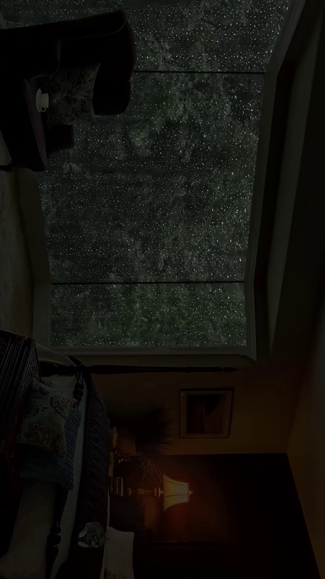 树林屋顶的雨声