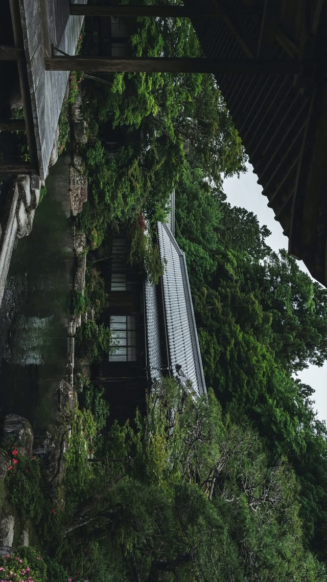 庭院鱼塘