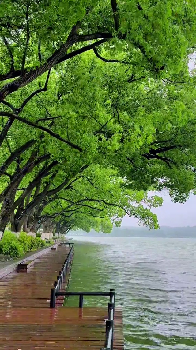 一生只求一次知足