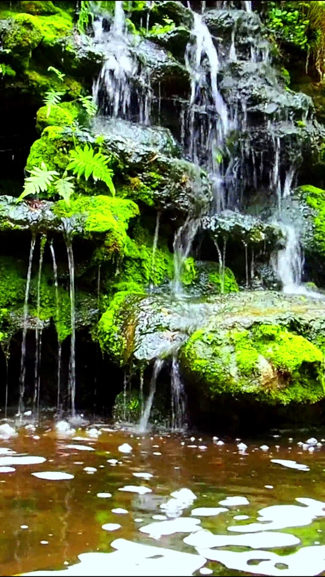 治愈山涧小溪 4K