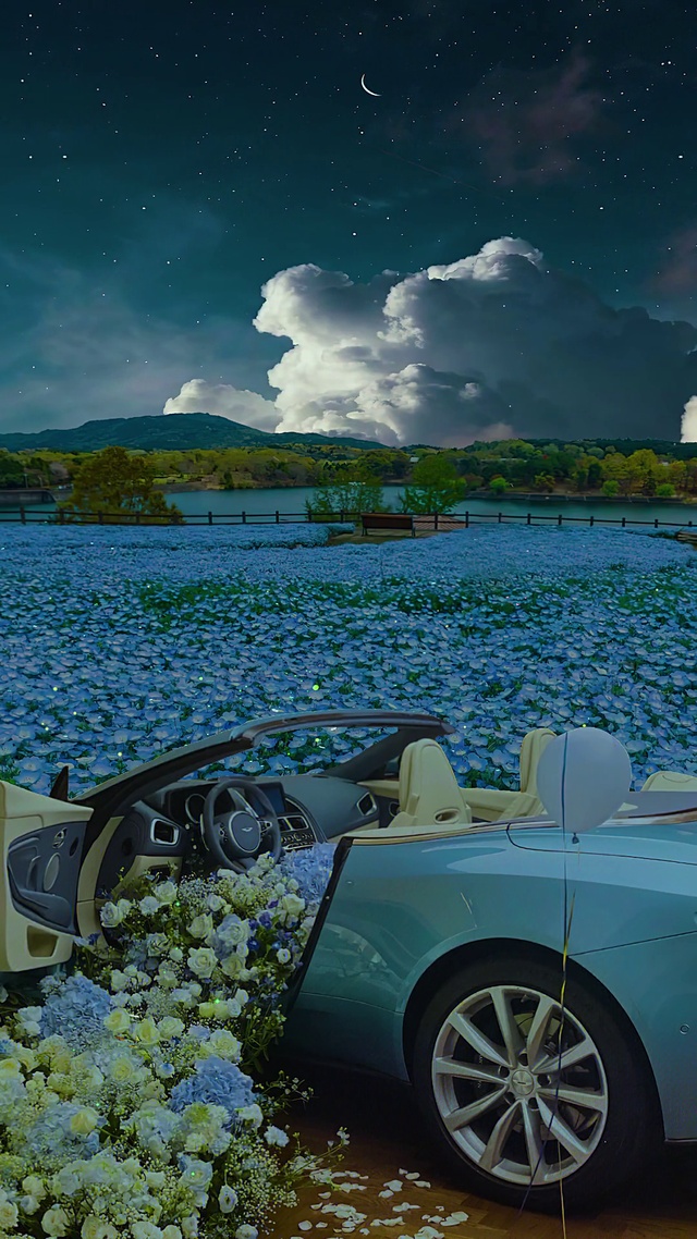爆款星空花海浪漫汽车
