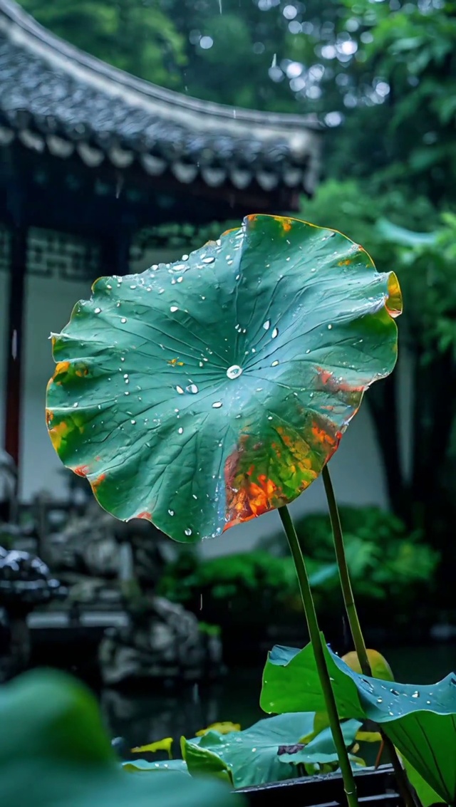 成功之道，贵在坚持