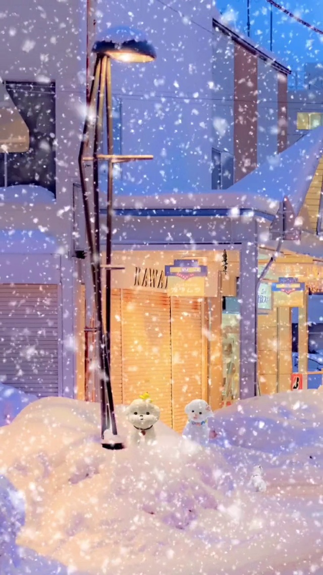鹅毛飘雪