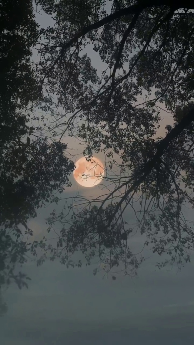 有没有可能你想的那个人也在想你