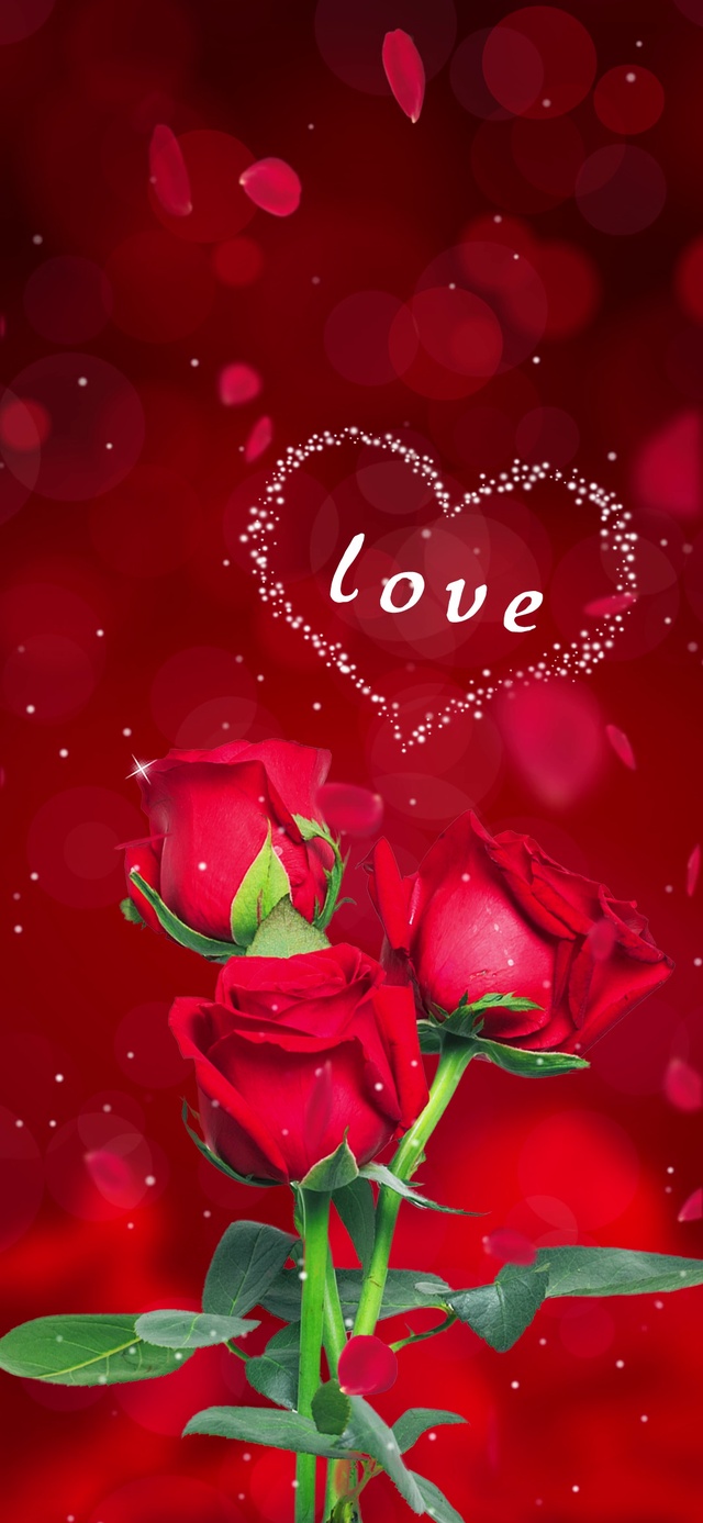 love玫瑰