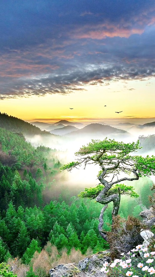 时间很匆忙，可否稍作停留，让疲惫的自己身休息一下。