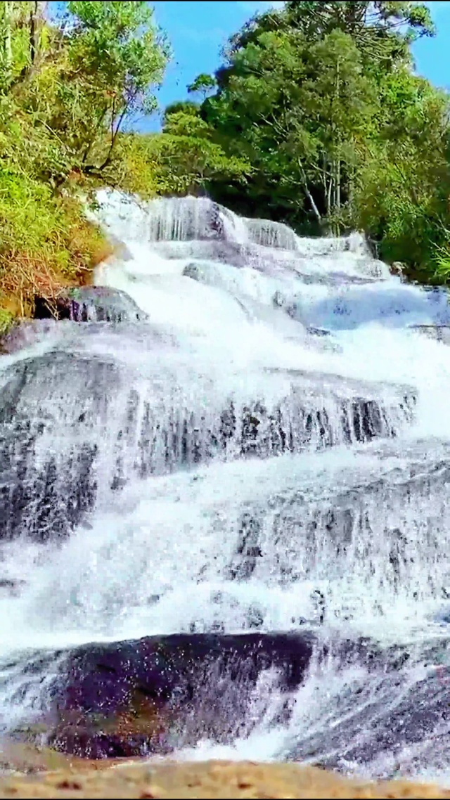 4K唯美山涧流水