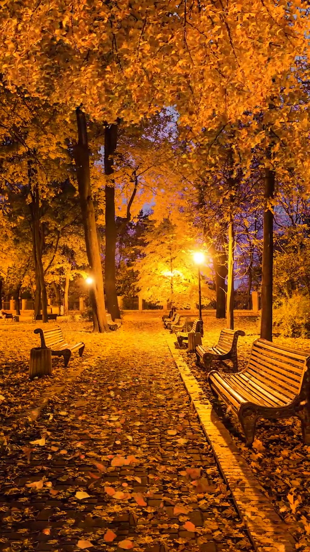 落叶知秋，微风徐来