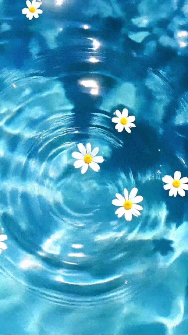 水波纹