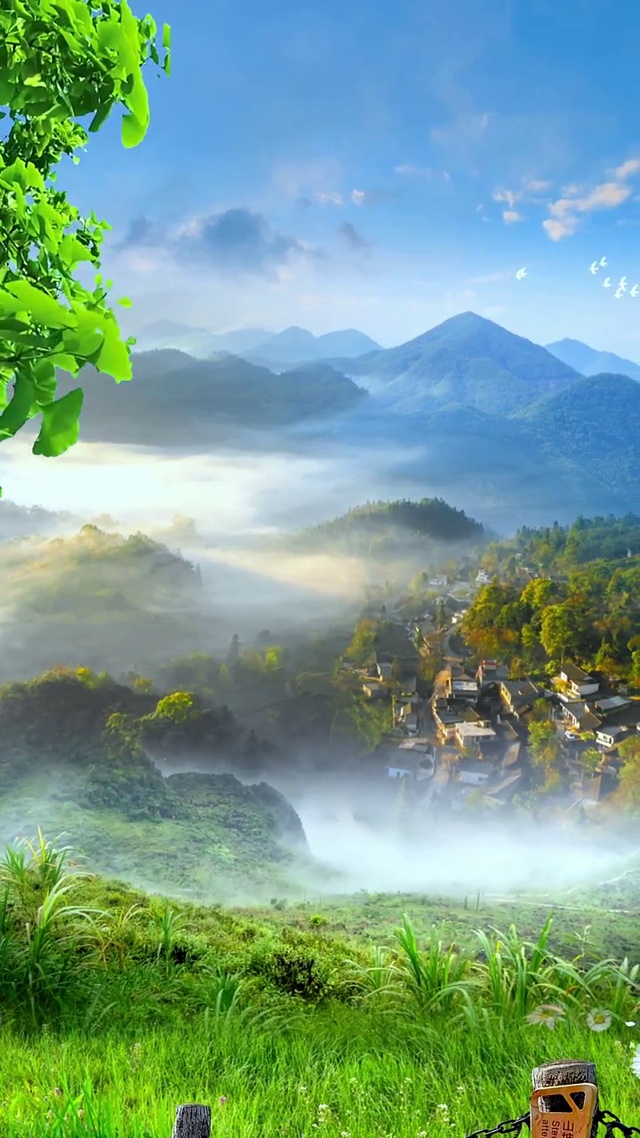 云雾缭绕(风景手机动态壁纸) - 风景手机壁纸下载 - 元气壁纸