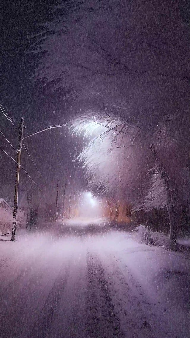 雪一落就成了诗