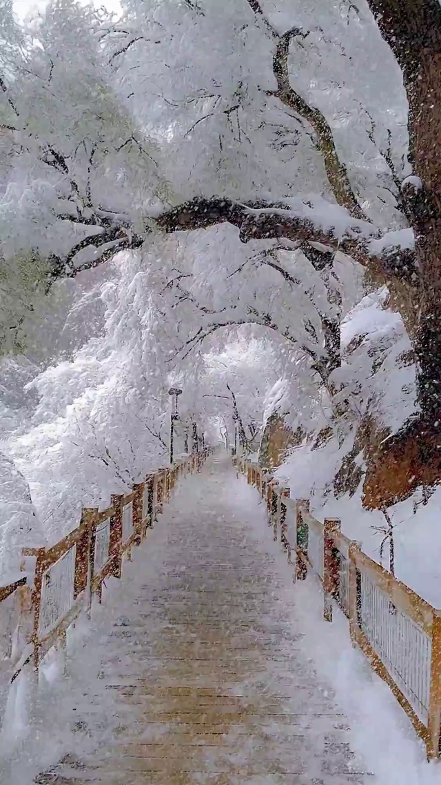 超美雪景