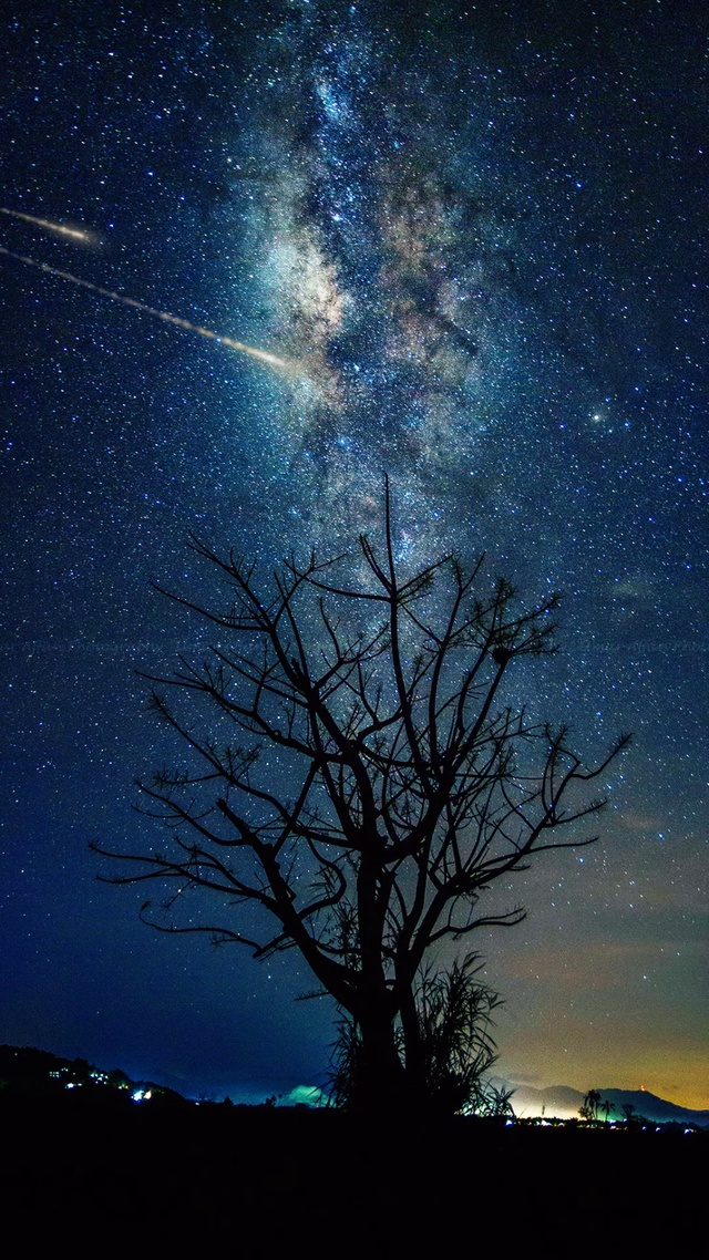 夜深孤树，流星划过