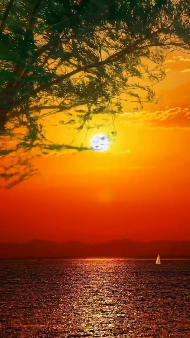 落日归山海，山海藏深意