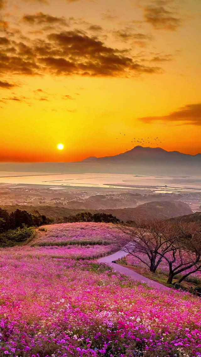 日落晚霞风景