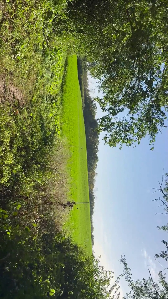 绿色自然风景