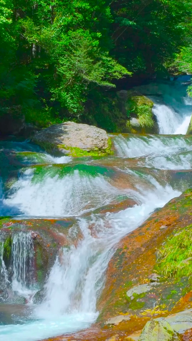 夏日绿林山涧