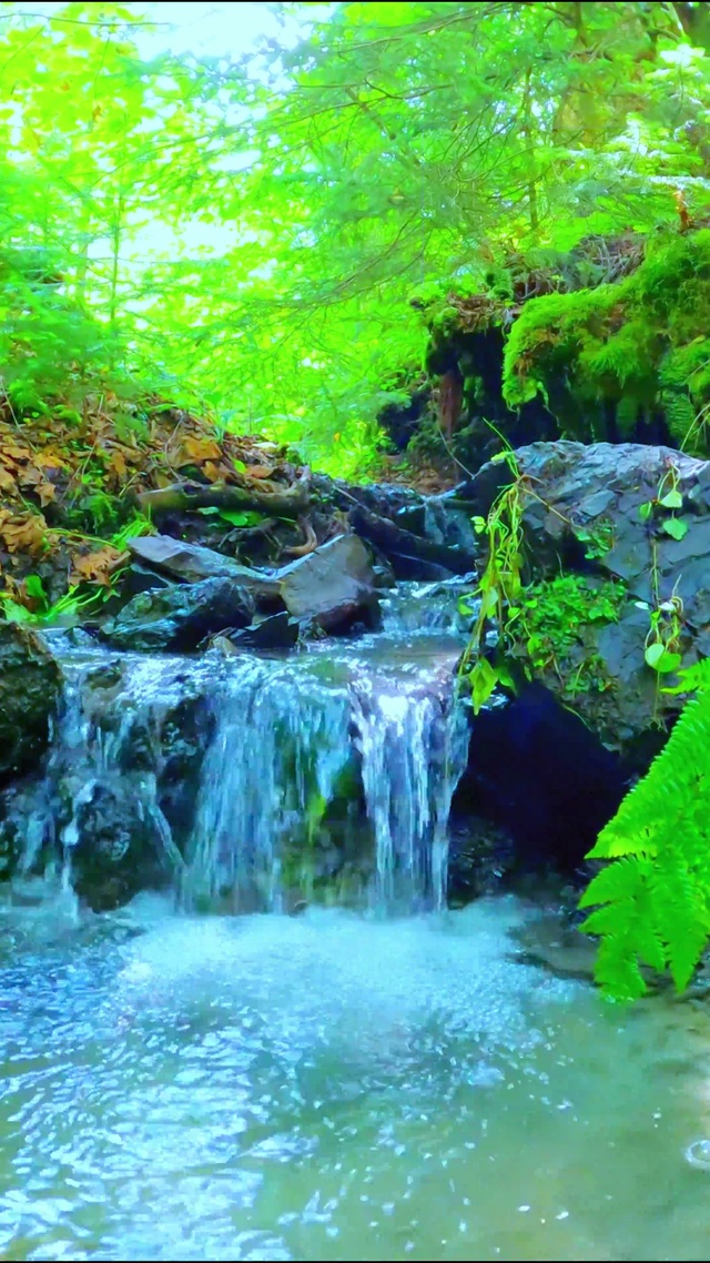 山涧小溪 4K