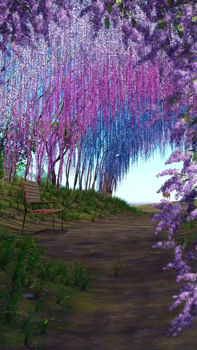 有一种美叫“紫藤花开”，你恰好盛开，我刚好路过，一帘幽梦，等风也等你。