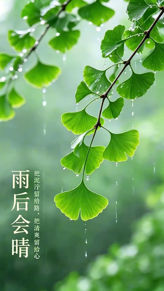 雨后会晴