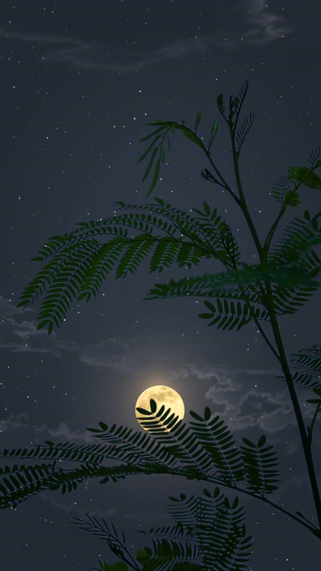 小时候的夜晚