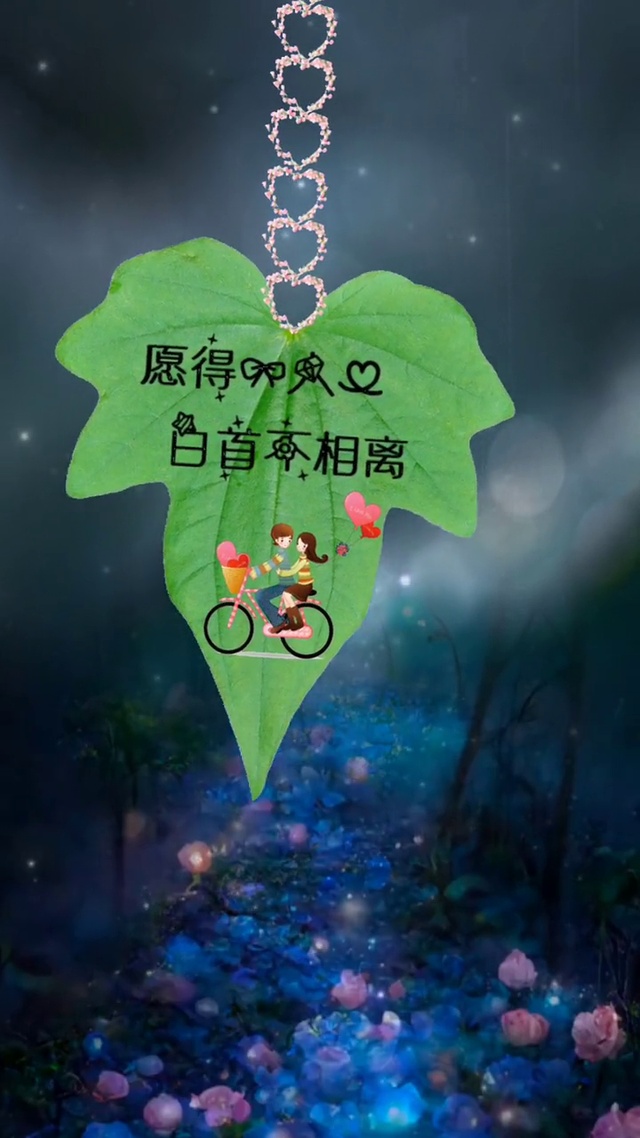 愿得一心人，白首不相离