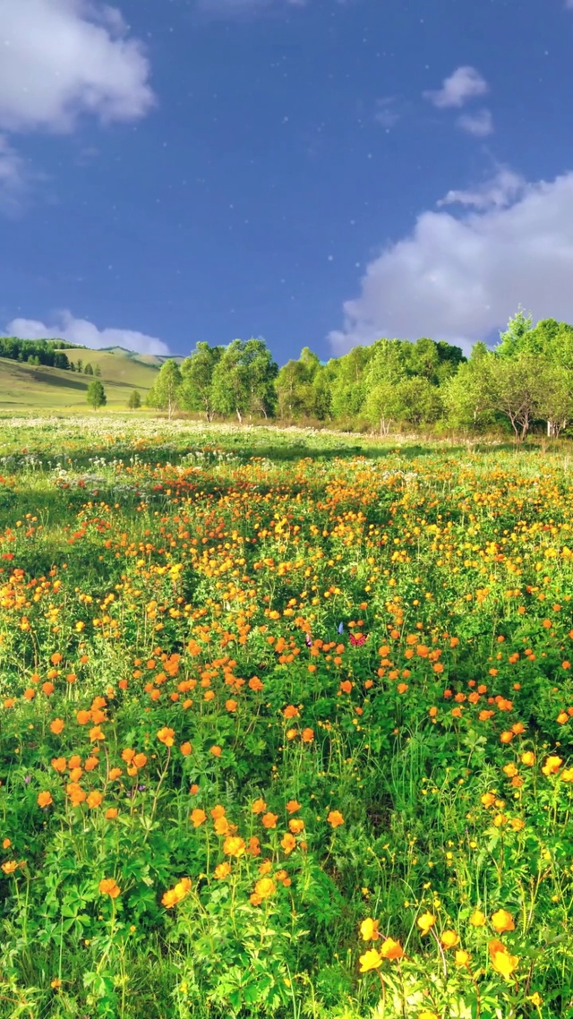 山谷花丛，蓝天绿树
