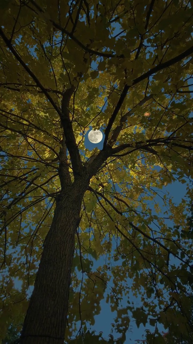 十一月你好,请你善待我爱的人