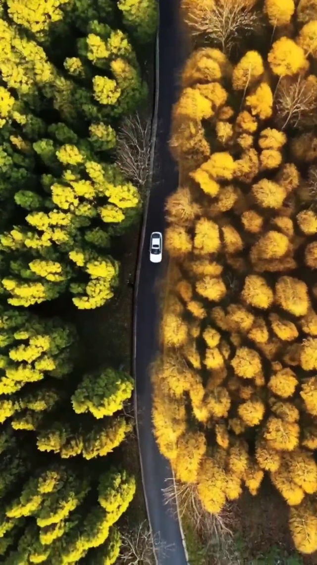 风景