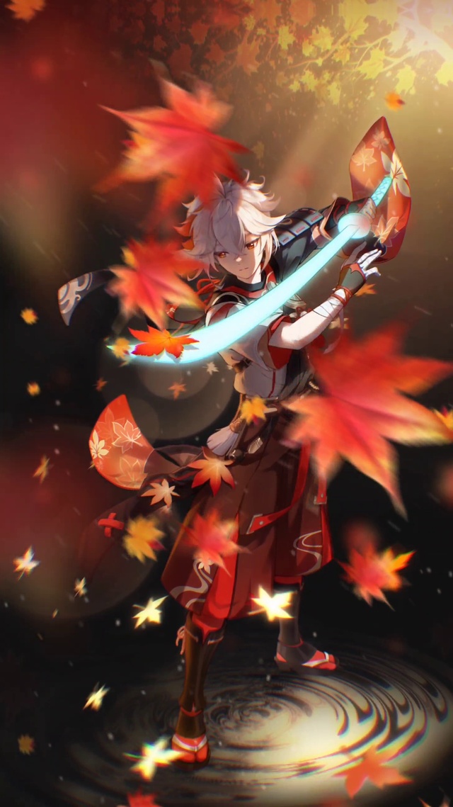 枫叶飘舞帅气男神4k