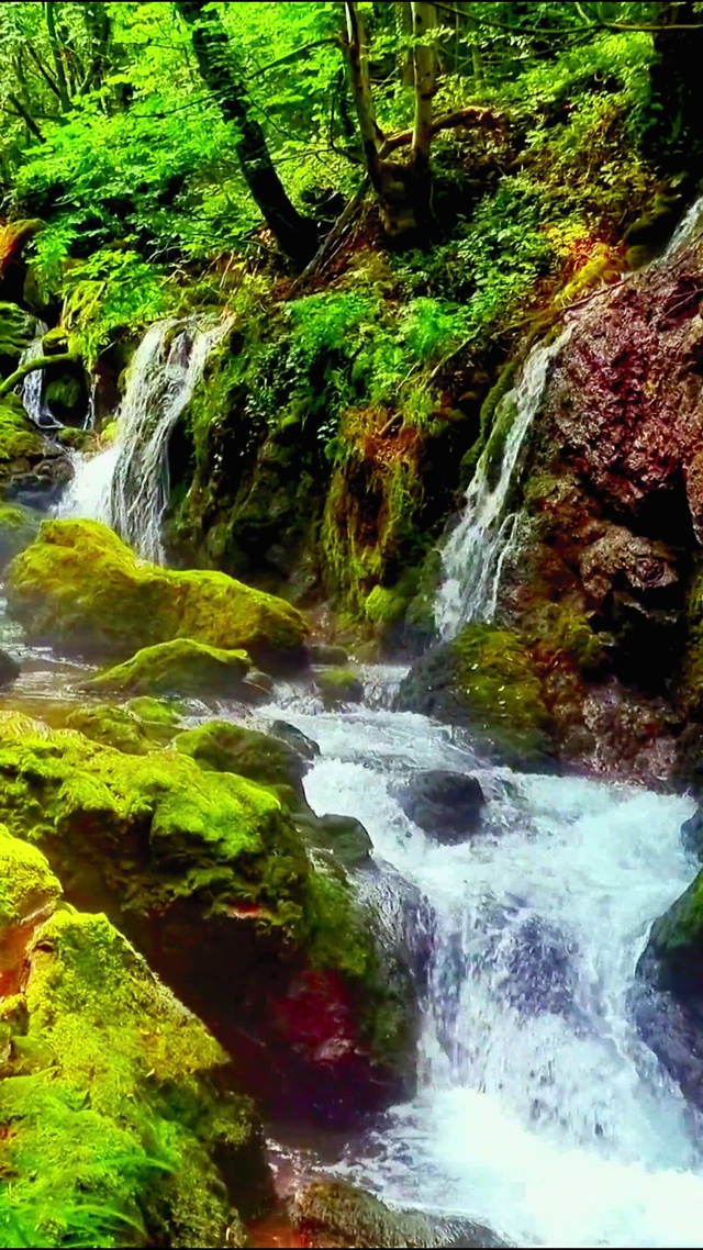 4K治愈山涧流水