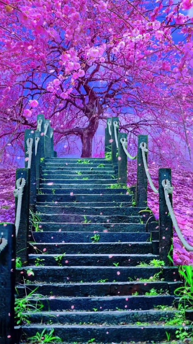 世界这么大总有一个人的出现，让你觉得人间值得。