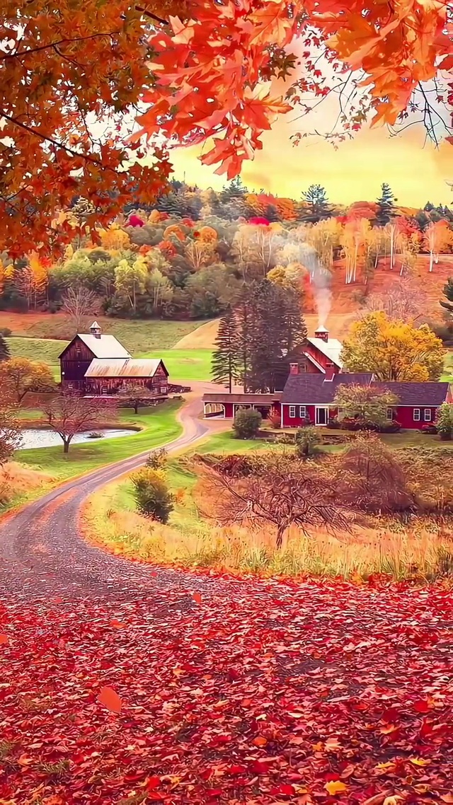 秋风起，叶相随