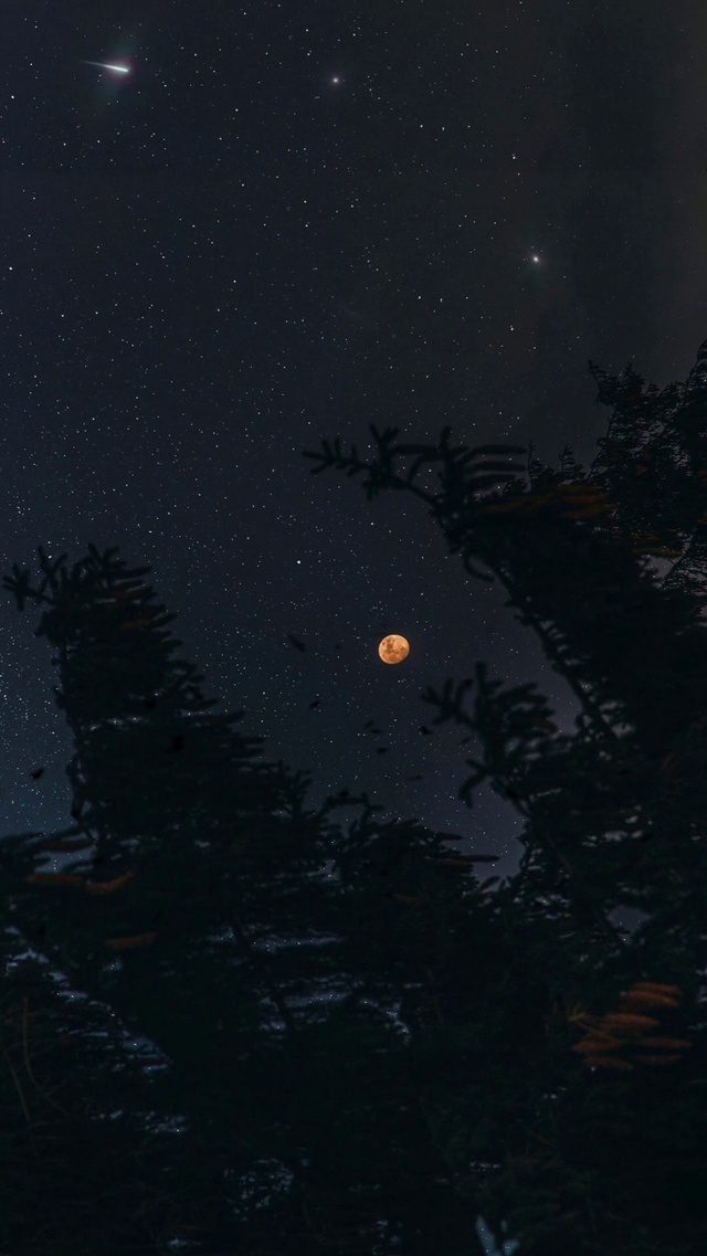 浪漫夜空