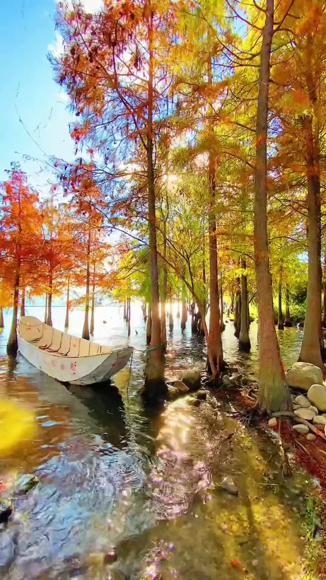 人间一趟，
积极向上，
不畏将来，
不念过往！