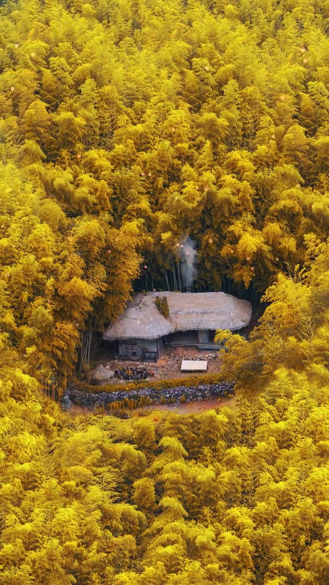 四季分明