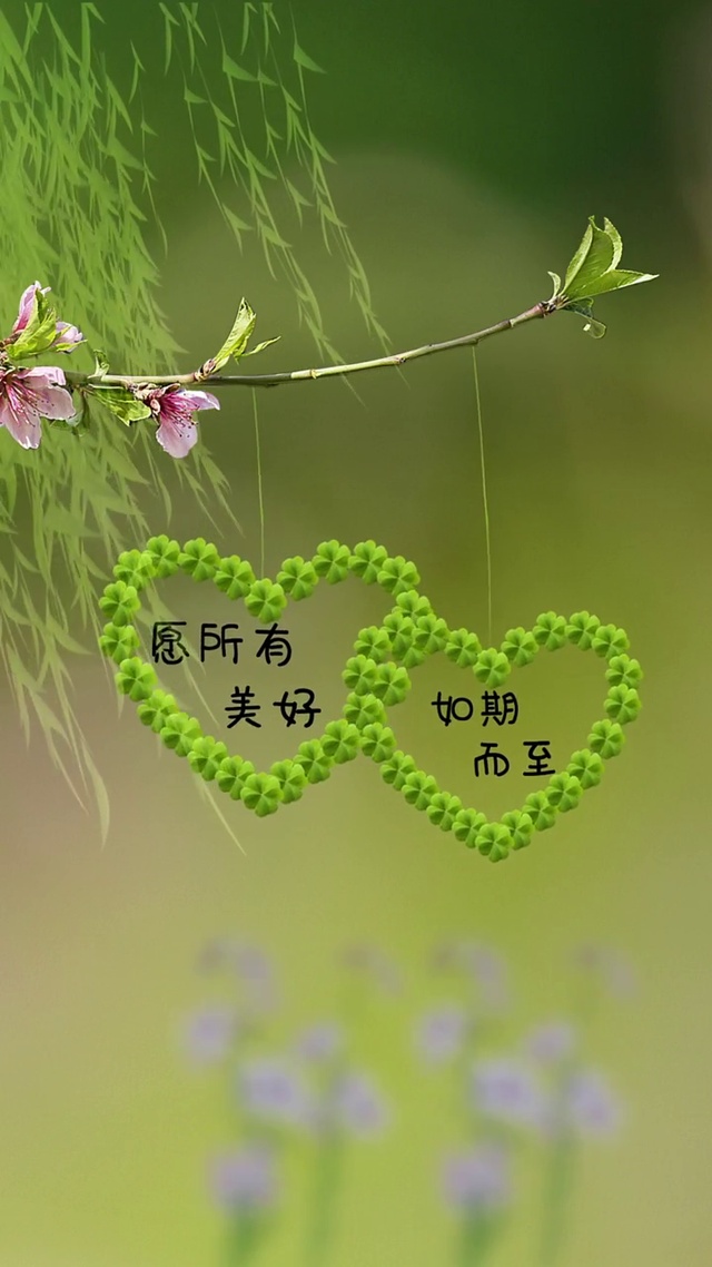 愿所有美好如期而至