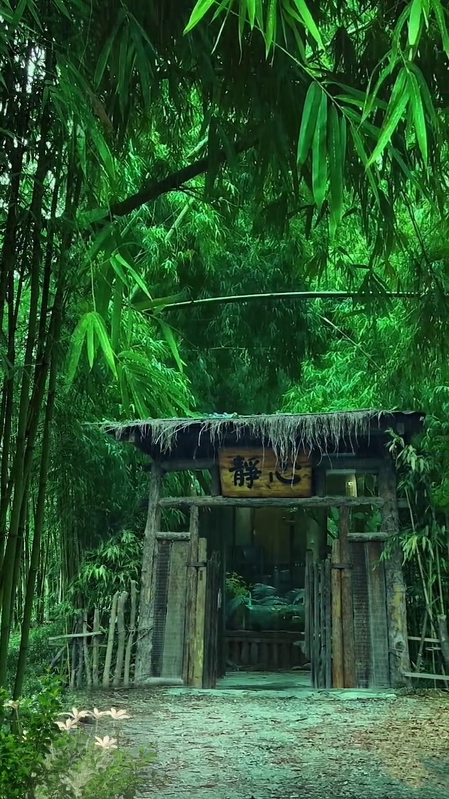 竹林风雨