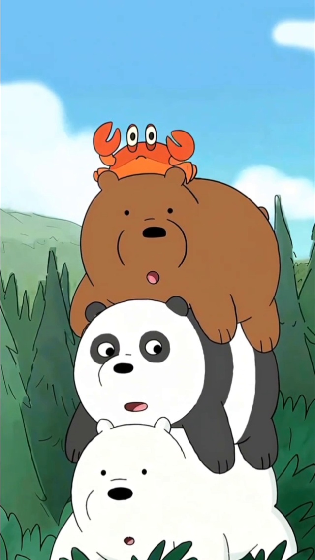 动物