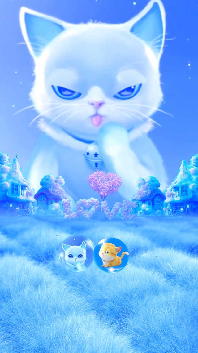 蓝猫咪

