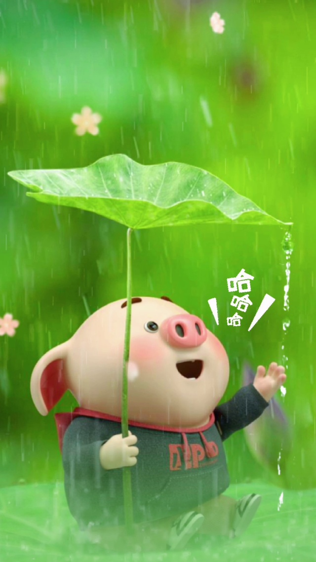 快乐的小猪