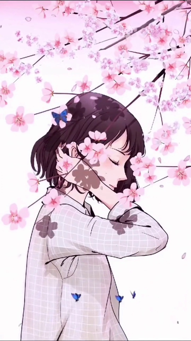 蝴蝶樱花