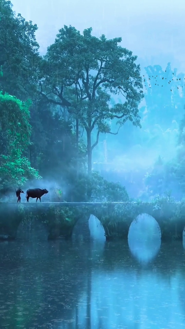 清雨纷纷