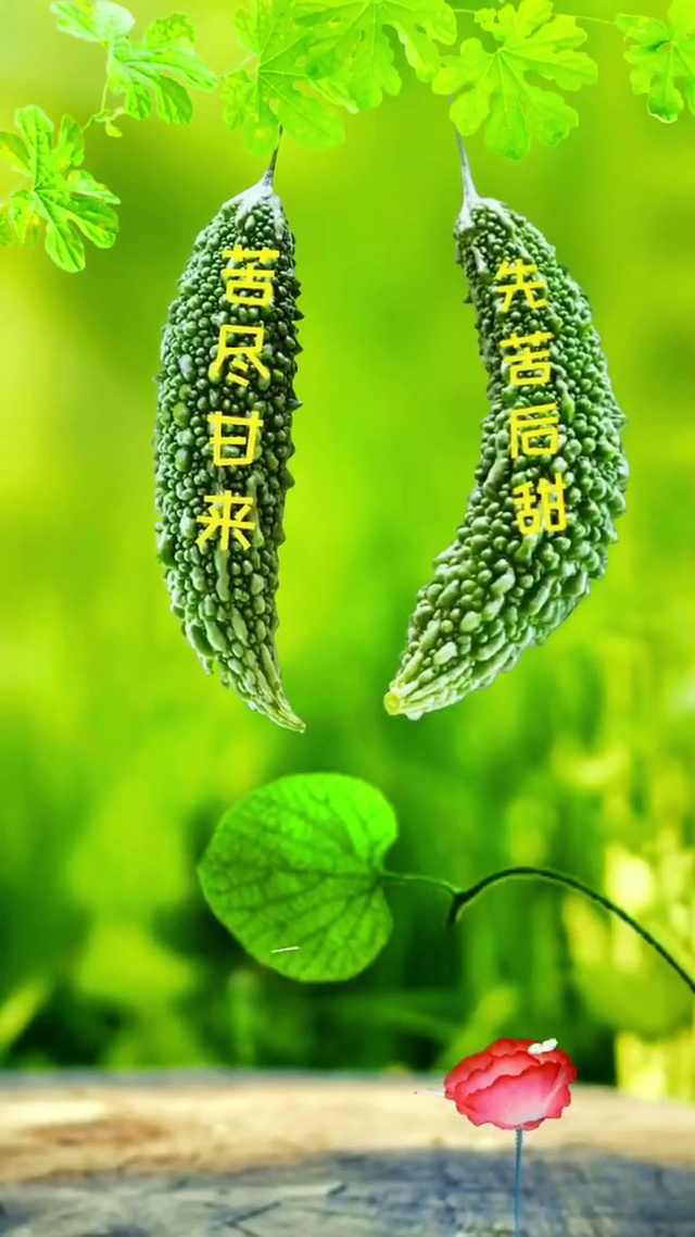 苦尽甘来