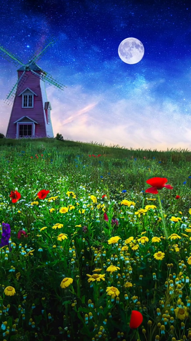 星光不问赶路人，时光不负有心人