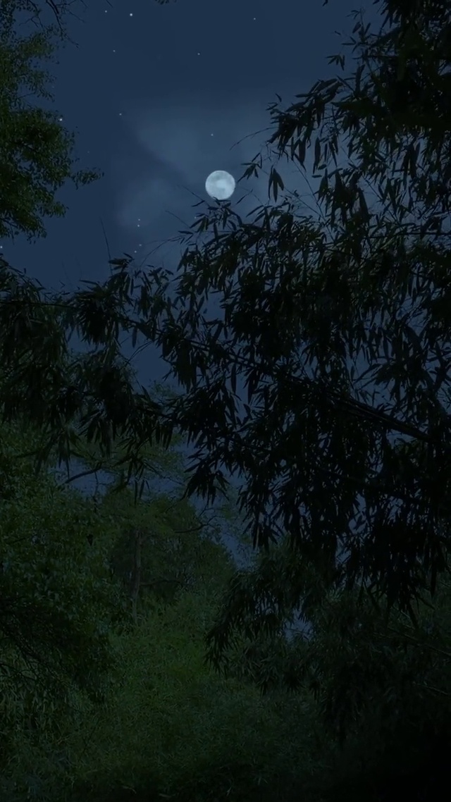 一轮圆月照静幽
