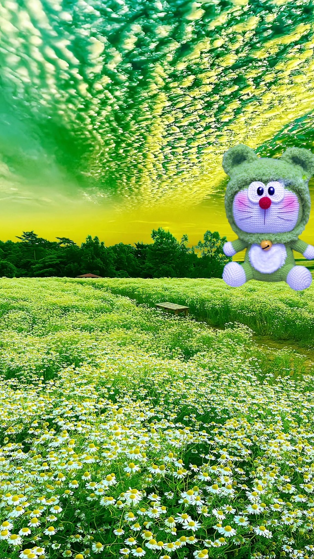 绿色浪漫小雏菊