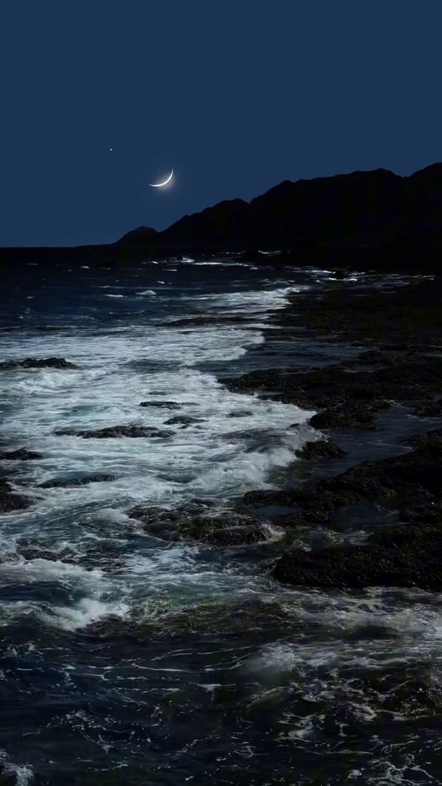 大海月色